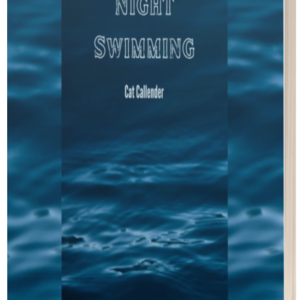 Night Swimming. A short horror story.