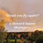 An English Suspense Story - "Would you fly again?"
